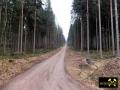 Quarzitklippen am Gipfel des Hirschenstein bei Hartmannsdorf nahe Kirchberg im Erzgebirge, Sachsen, (D) (26) Forstweg zum Hirschenstein.JPG